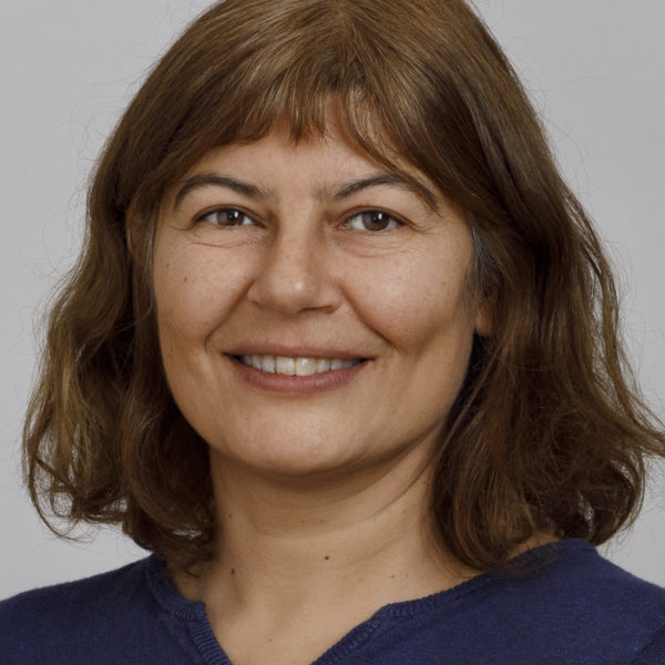 Özlem Ipek Avvisati